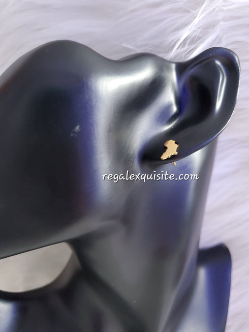 Afrimoda Handbag Accessory Luxury Set