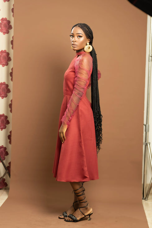 Amanyi Women Flare Dress with Long Sleeve Organza Mesh