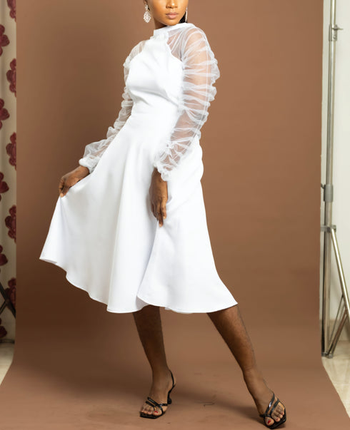 Amanyi Women Flare Dress with Long Sleeve Organza Mesh