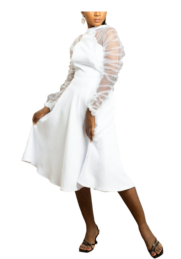 Amanyi Women Flare Dress with Long Sleeve Organza Mesh