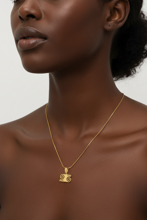 BRAVERY KWATAKYE-ATIKO heritage adinkra stainless steel necklace only