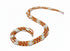 Nsroma Orange Waist Beads - Ahyenie