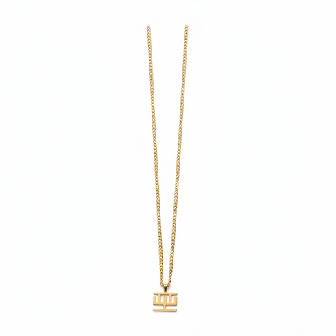 SUPPORT HWEMUDUA bold curb chain Adinkra stainless steel necklace only