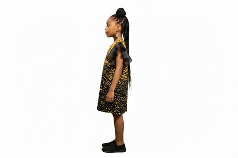 Taelisse Girls Sunburst Organdi and Ankara Vibrant African Girls Wear Shift Dress
