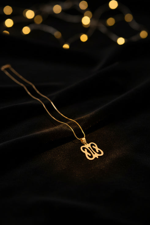 HONOR HYE-WON-HYE heritage strength stainless steel Adinkra necklace only