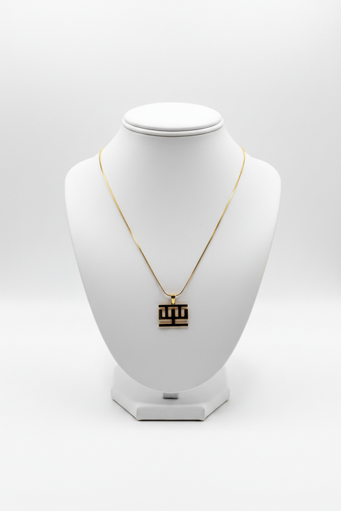 QUALITY Hwemudua support fine chain Adinkra stainless steel necklace only
