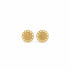 Pair of gold earrings on a white background