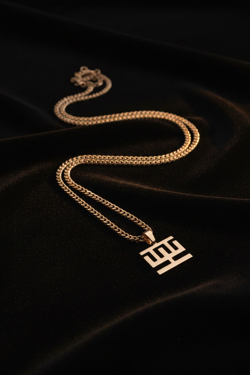 SUPPORT HWEMUDUA bold curb chain Adinkra stainless steel necklace only